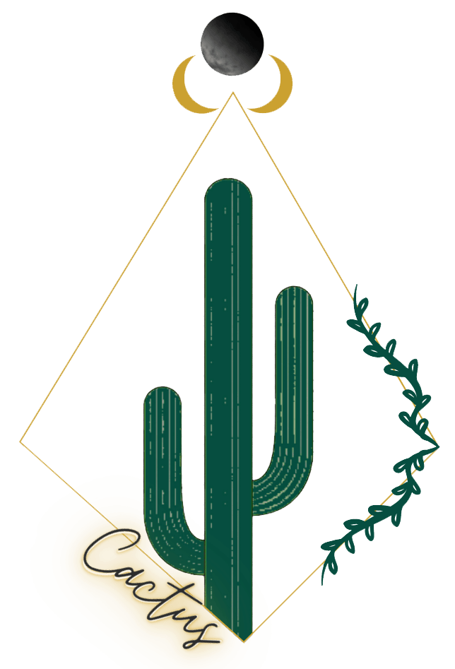 Cactus Hair Salon | Beauty Services in Canal Winchester, OH
