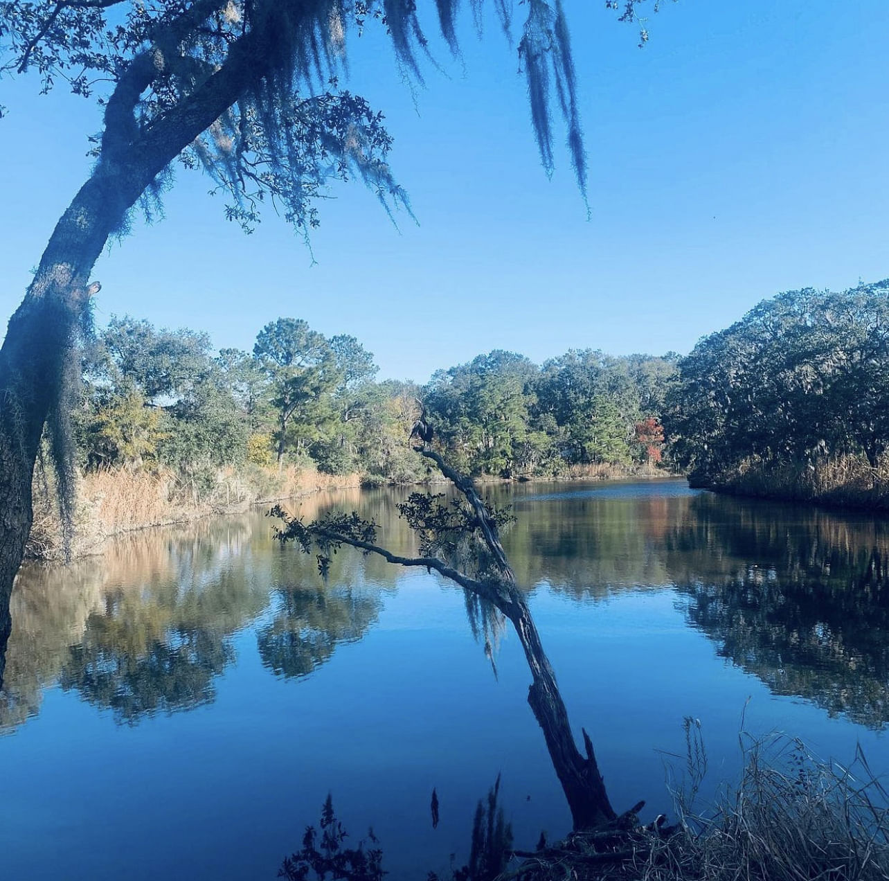 Organic Oasis: A Photographic Journey Of Paradise Farms